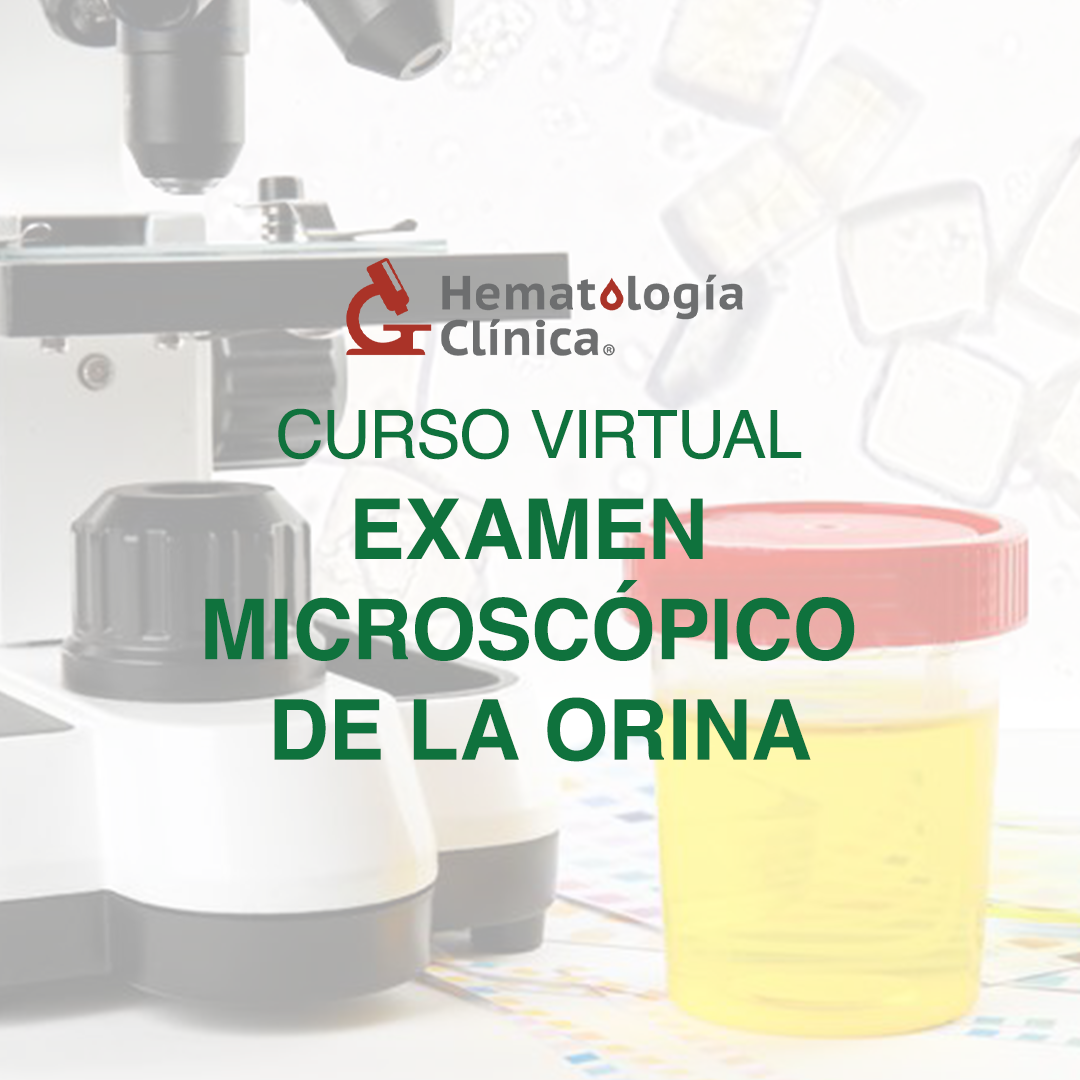 Examen microscópico de la orina Junio 2023 tiendahematologiaclinica